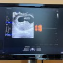 임산부인과의원 이미지