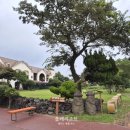 제주티라호텔 | [8살 남매둥이 제주도 여행] 올레리조트 _제주 애월 가성비 좋은 숙소