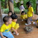 은새유치원 이미지