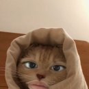 (주)요즘