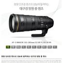 니콘 120-300mm F2,8E FL SR VR 대포렌즈 이미지