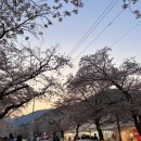 지에스25동학사입구점 이미지