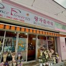 왕자꽃집 | [충장로 꽃집] 왕자화원/플라워 만원대 저렴한 꽃다발의 행복 K-POP골목