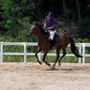 인천승마공원 이미지