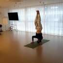 치유요가반 이미지