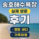 송호해수욕장4화장실 | 송호해수욕장 실제 방문 후기 | 해송숲 캠핑