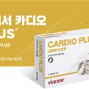 가온플러스