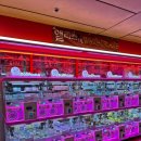 앨리스인원더랜드 잠실점 이미지