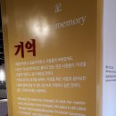 전남도청 ? 시간, 장소, 사람 그리고 기억 이미지