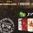 솔티농장 이미지