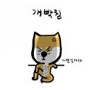 까까조