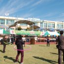 일로초등학교 이미지