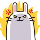범둘통닭 네이버블로그
