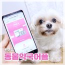 펫팜 | 강아지 외부구충약 가드닐 개 진드기약 추천! 펫팜 어플로 동물약국 찾기