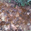 도곡낚시터 이미지