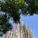 신정3동 성당 출입구 쪽 | 스페인 바르셀로나 꼭 가봐야 할 곳 2 사그라다 파밀리아성당