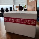 댕꼬미다 | [강아지 간식후기] 안양 수제간식 전문점 댕꼬미다 후기
