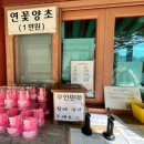 법흥사석분 | [강원 영월] 부처님 진신사리를 모신 '적멸보궁 법흥사'를 찾아서(feat. 5대 적멸보궁)