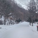 쿵쿵소 캠핑장 이미지