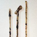 *감태나무 연수목 지팡이 이미지