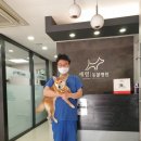 세명 동물병원 이미지