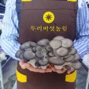 두리버섯농원