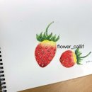 색연필일러스트&보타니컬아트 이미지