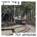 성산 호스텔 | [갑자기 가오슝] 타이중에서 아리산 10시간 mz감성 여행(이제 트레킹과 산림열차를 곁들인)_일일투어