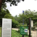 6월 12일(토) 15:00 효창공원 둘레길 & 경의중앙선 숲길 산책 이미지