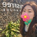 이니스프리 | 제주도 가볼만한곳 추천 제주관광지 오설록 티뮤지엄 이니스프리 후기