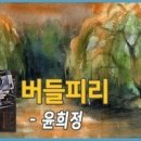 버들피리