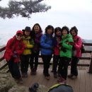 박종남농장 이미지