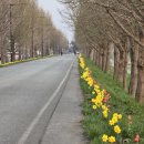 백암광장화장실 이미지