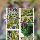 기성농장 이미지