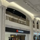 1895 | W 반지 | 까르띠에 1895 웨딩링 3.5mm 후기