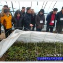 환영2농장 이미지