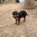 약진로변 이미지