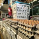 삼보페인트 이미지