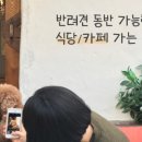 스튜디오 소재(STUDIO SOJAE)