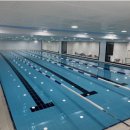 물개키즈스윔 이미지