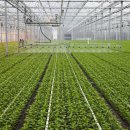 스마트팜 이미지