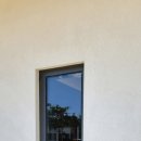 옐로우송버드 이미지