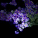 청하우체국 이미지