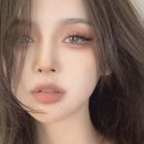 디 이미지