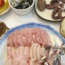 섬마을선어