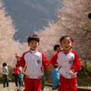 4월 10일 하동 쌍계사,악양 최참판댁 11일 진해 벚꽃 사진 여행입니다.(1박2일) 이미지