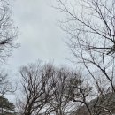 배영숙산야초밥상 이미지