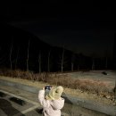 별빛정원 | 5살 아이와 떠난 밤하늘 여행🌙 가평 별빛정원 후기