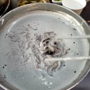 아낙네의 밀가 당진점 | <아낙네의 밀가>당진점·서리태 메밀 콩국수·수육 맛있는 집