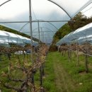 월기농장 이미지